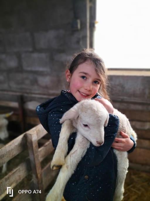 Gite La Dame Au Lit Gite A La Ferme Momignies Ngoại thất bức ảnh